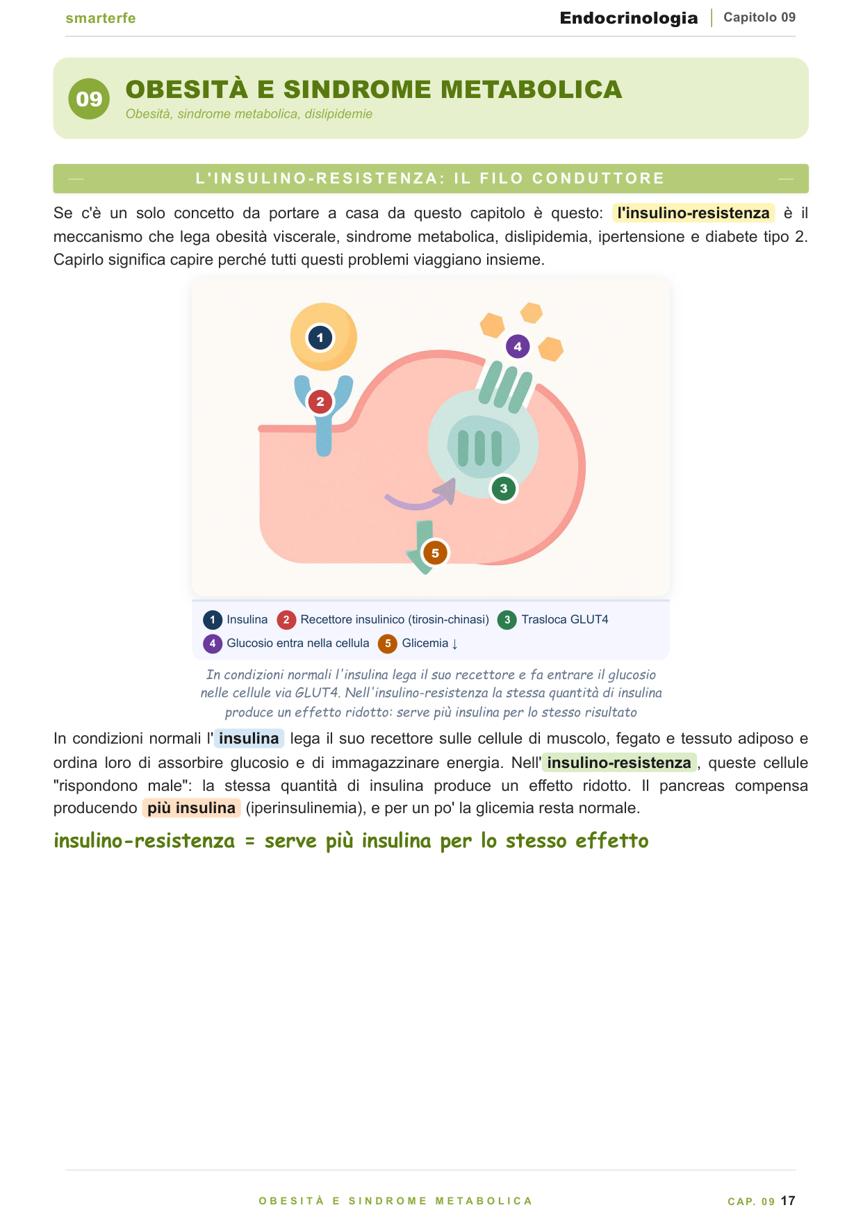 Corticosurrene: Cushing, Addison e Conn con test dinamici