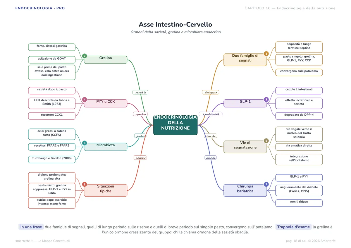 Mappe Concettuali