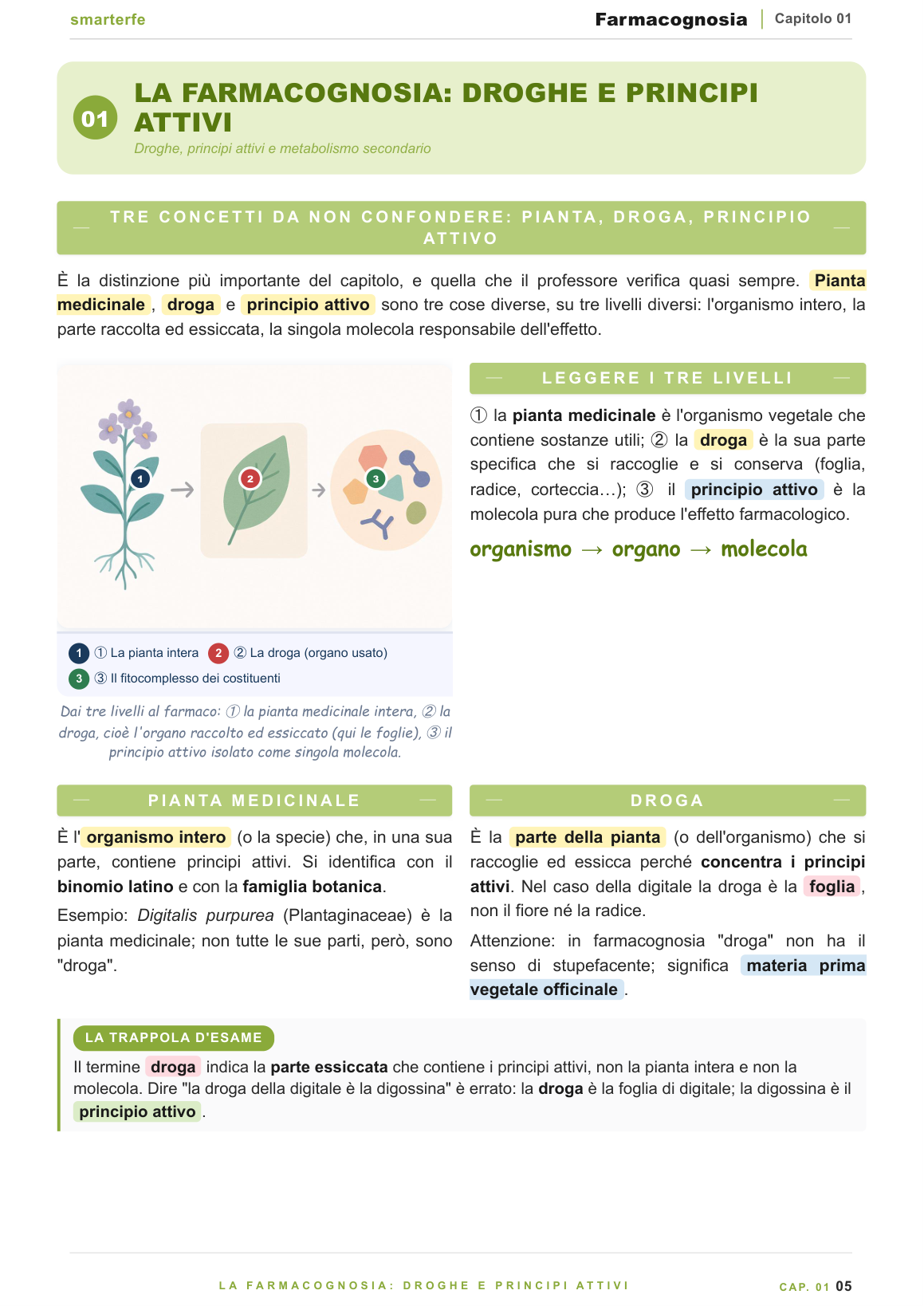 Copertina Farmacognosia per Farmacia, CTF e Scienze Erboristiche