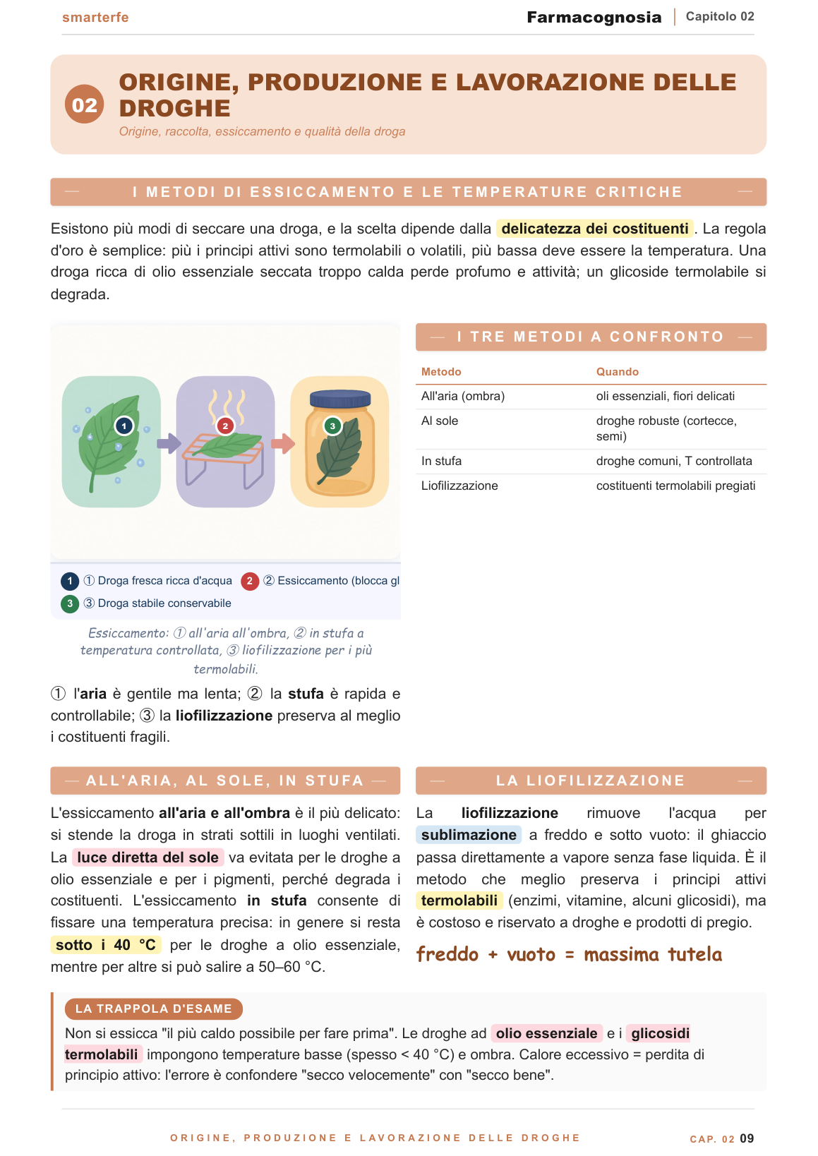 Composti fenolici: flavonoidi, cumarine e tannini
