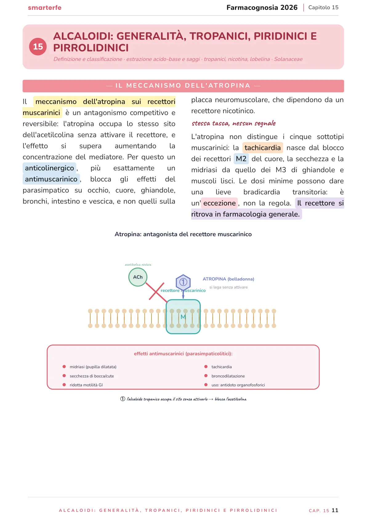 Lo stesso argomento sulle Dispense SmarterFe: schema, passaggi numerati, colori
