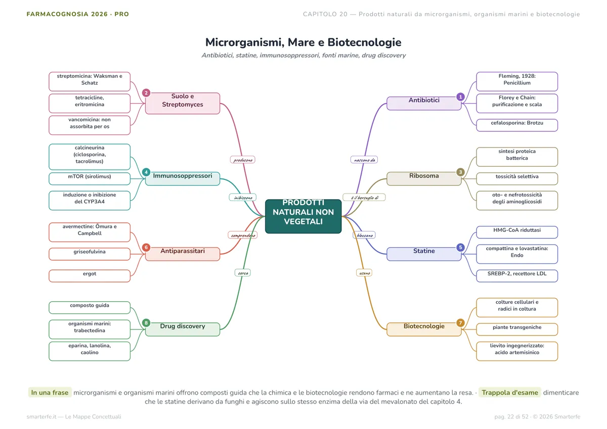 Mappe Concettuali