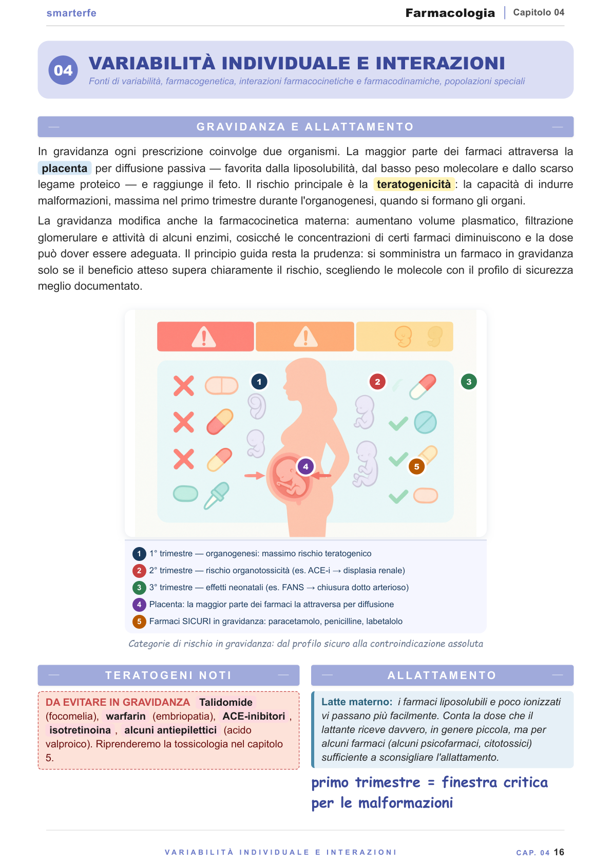 Farmaci in gravidanza e allattamento — trimestri e teratogeni