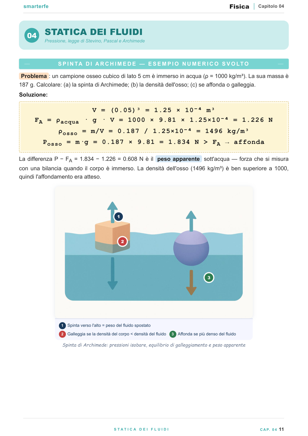 Biomeccanica e statica del corpo umano