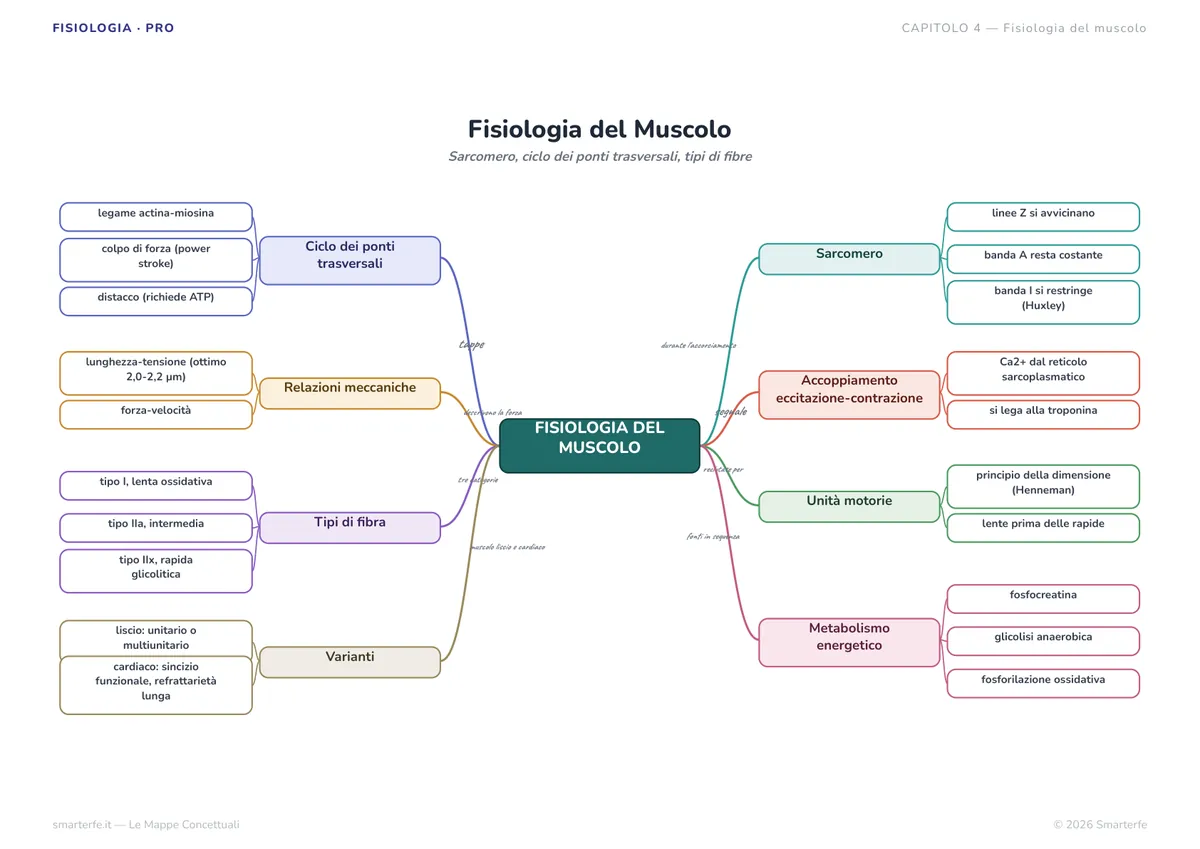 Mappe Concettuali