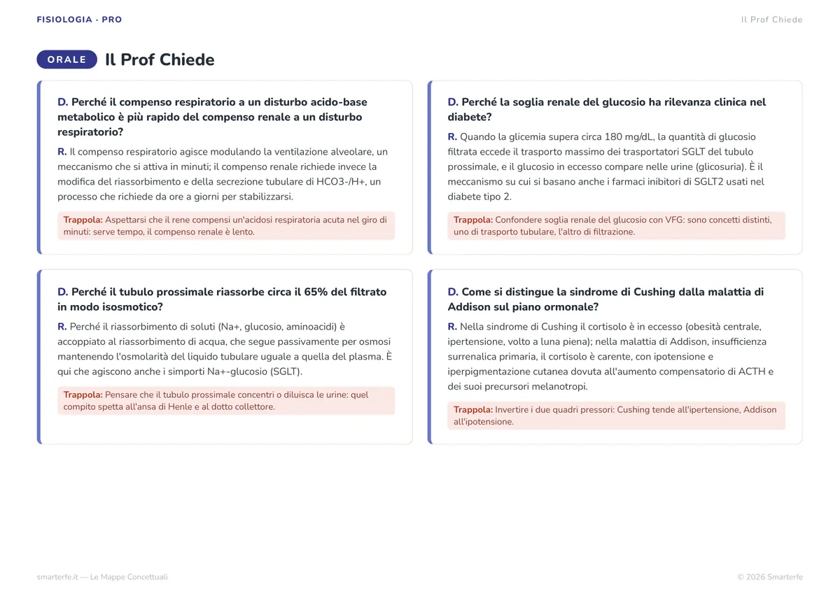 Mappe Concettuali
