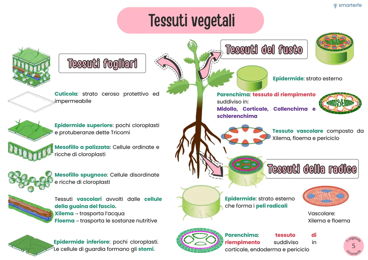 Fascicolo PRO