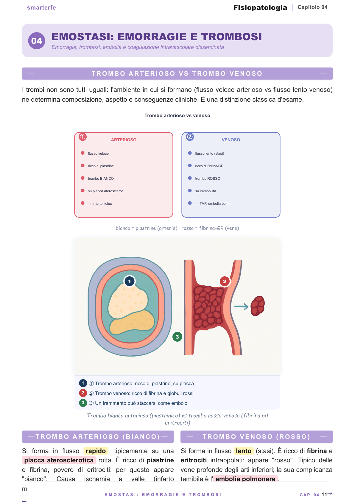 Fisiopatologia del sangue: eritropoiesi e classificazione delle anemie