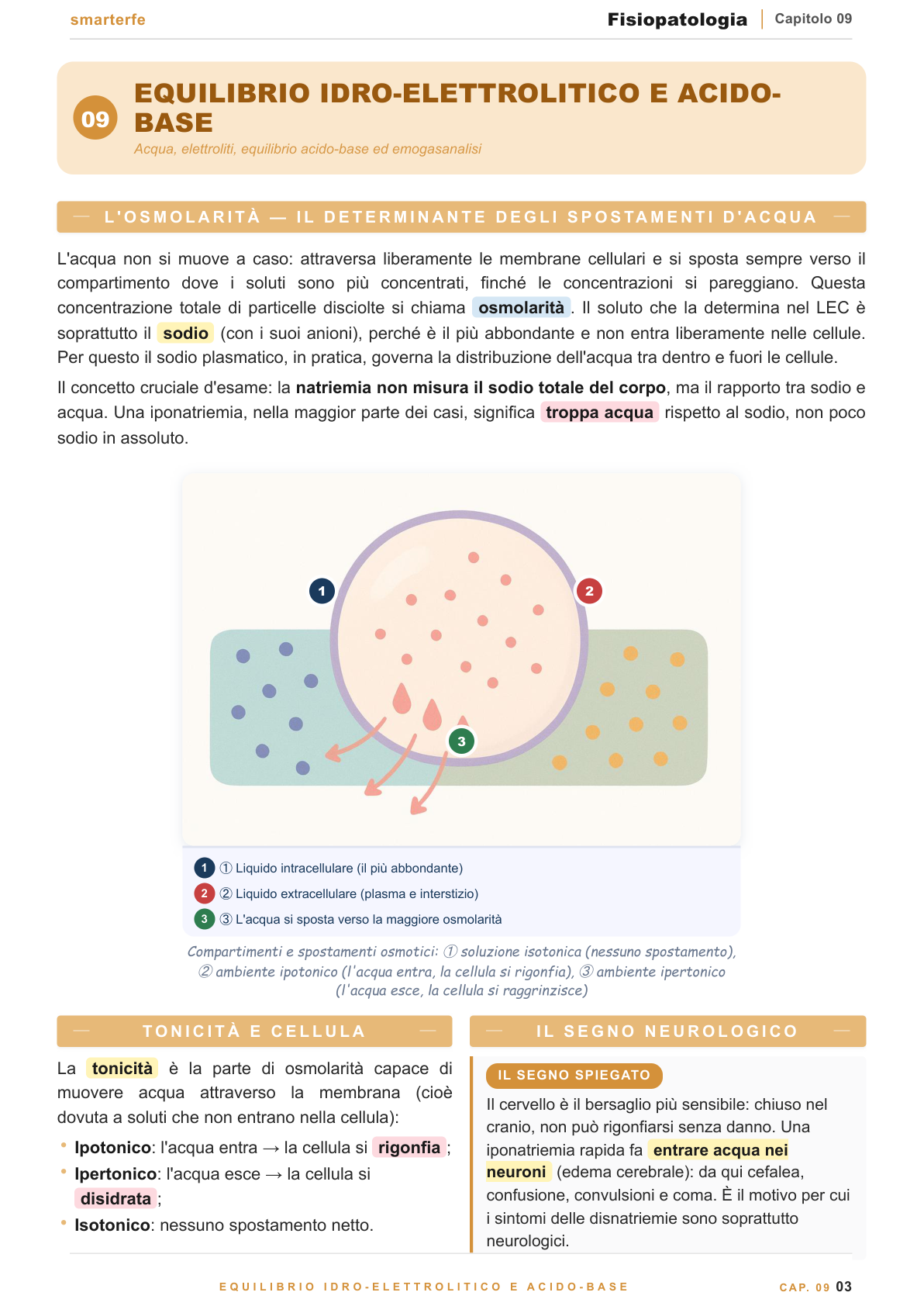 Fisiopatologia renale: filtrato glomerulare e insufficienza renale