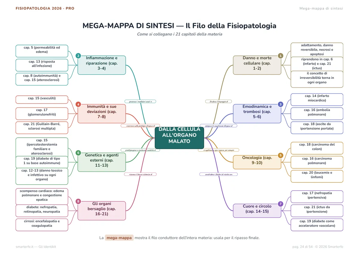 Mappe Concettuali