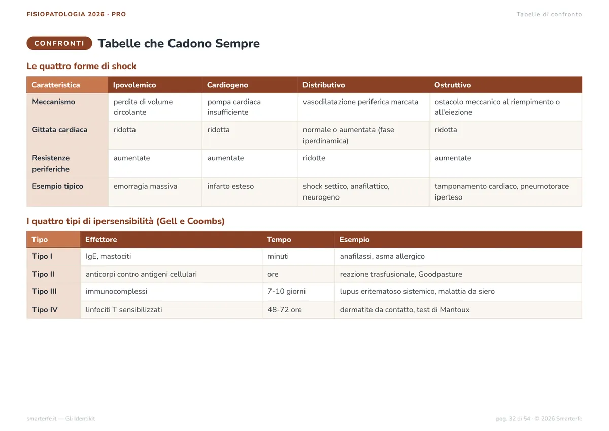 Mappe Concettuali