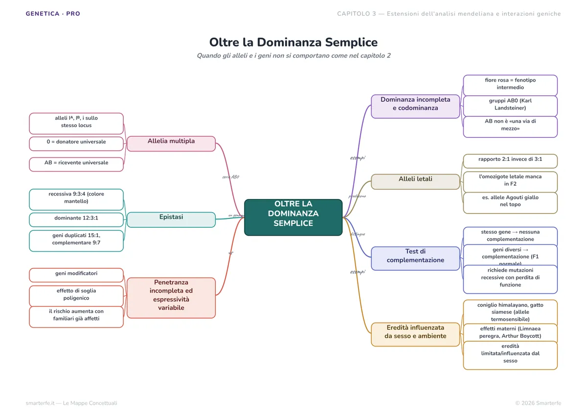 Mappe Concettuali