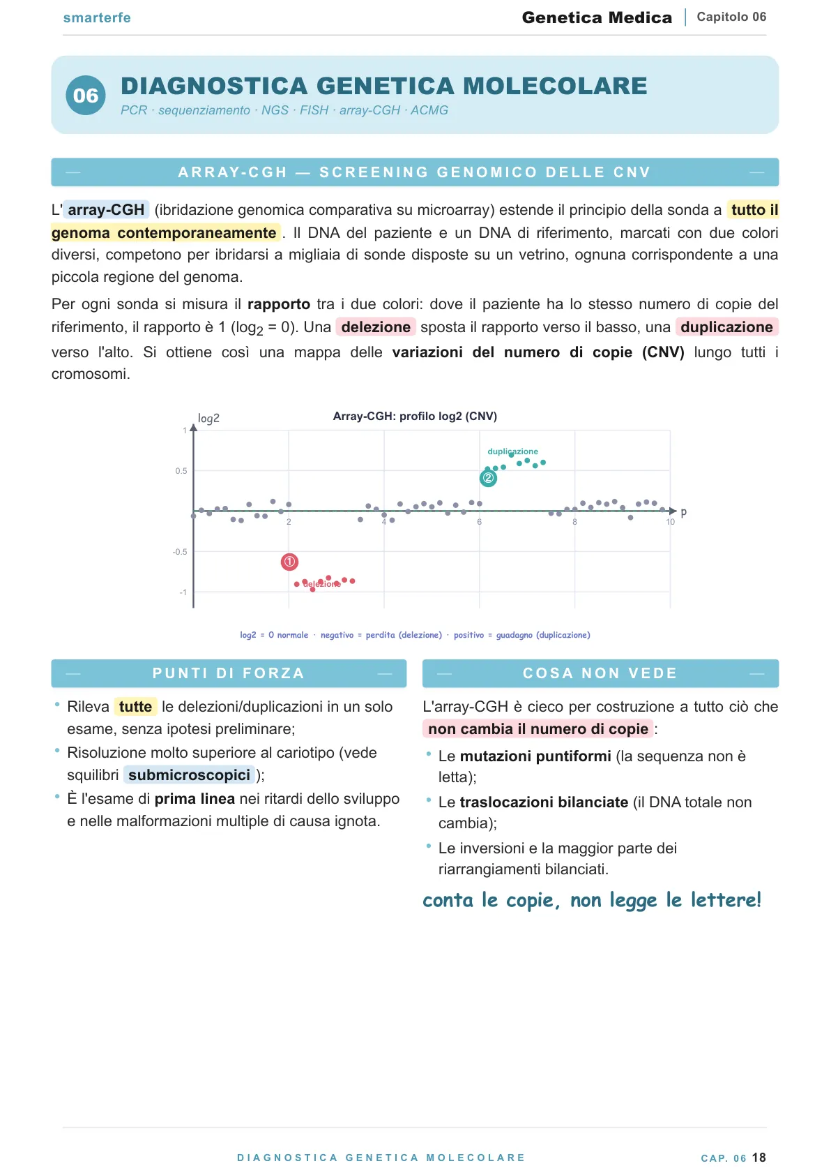 Lo stesso argomento sulle Dispense SmarterFe: schema, passaggi numerati, colori