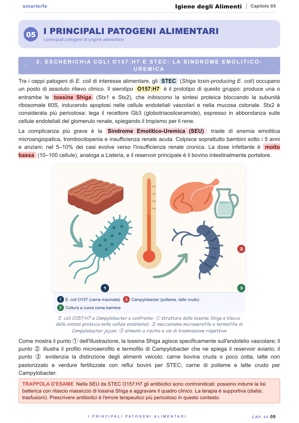 I pericoli alimentari e la contaminazione crociata