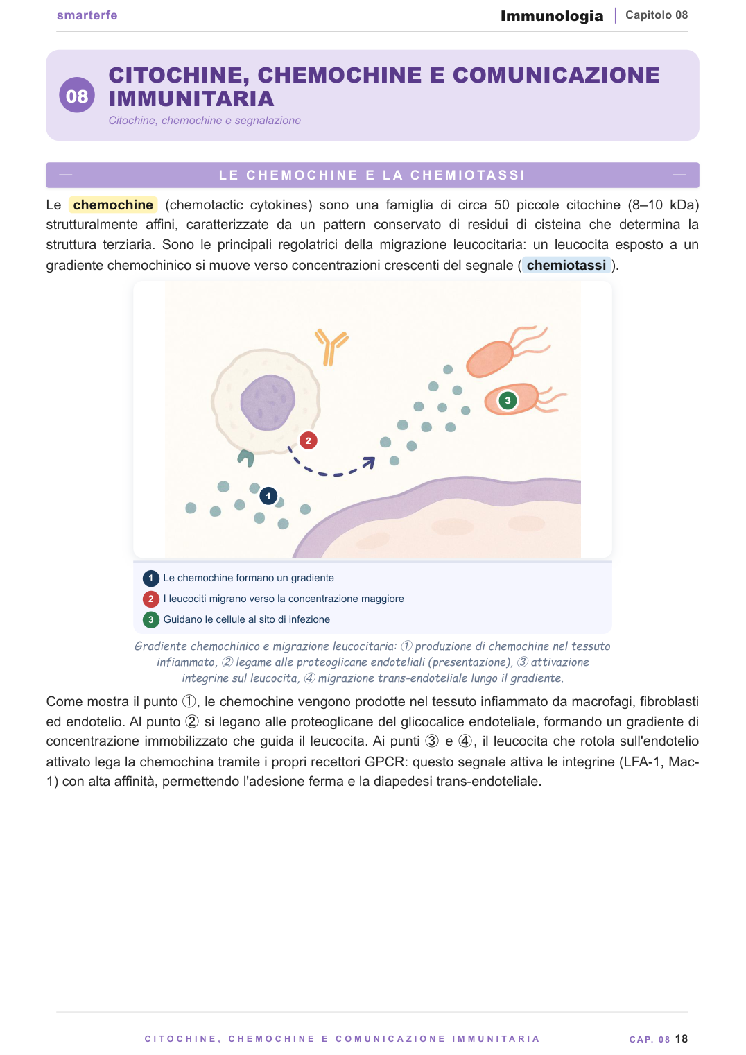 Citochine, ipersensibilità, autoimmunità e vaccini