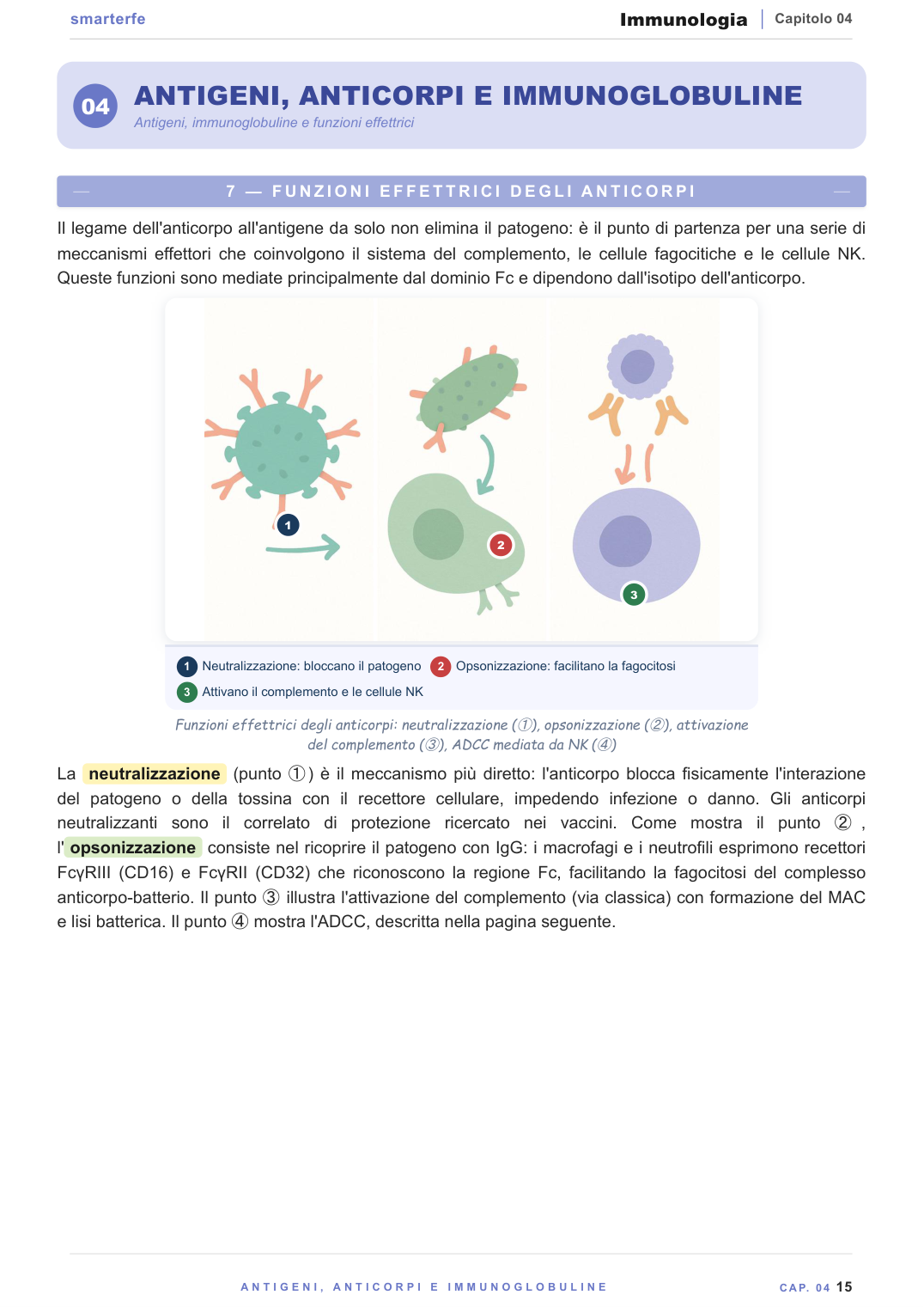 Antigeni, anticorpi e struttura delle immunoglobuline