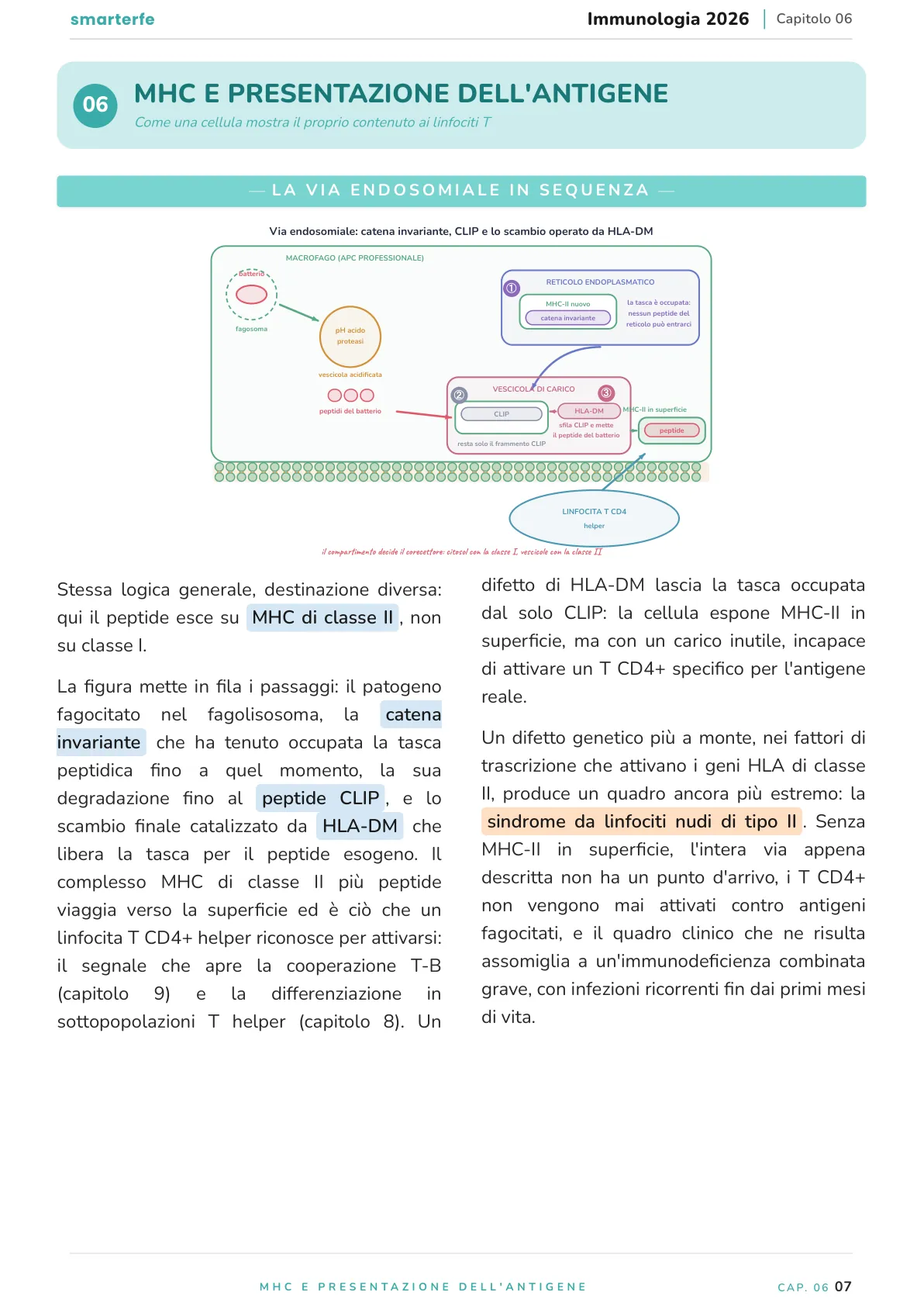 Lo stesso argomento sulle Dispense SmarterFe: schema, passaggi numerati, colori
