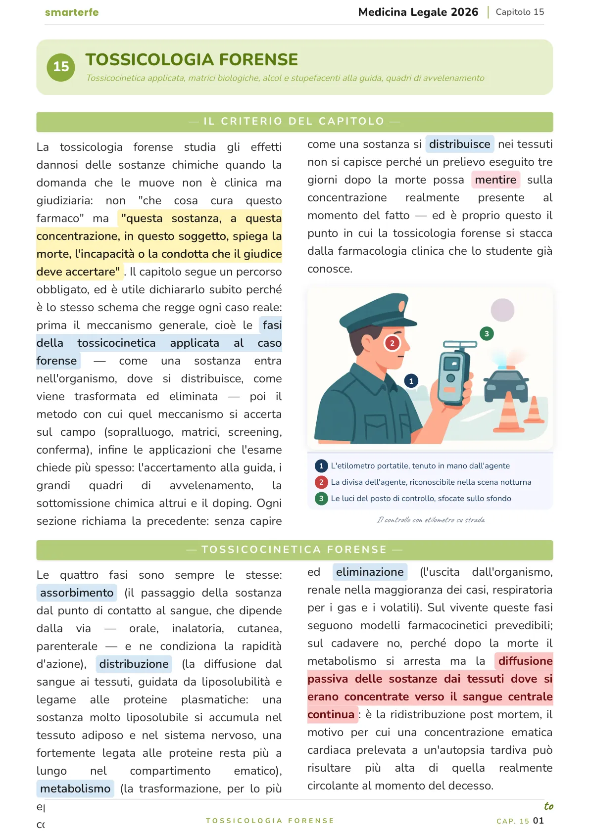 Lo stesso argomento sulle Dispense SmarterFe: schema, passaggi numerati, colori