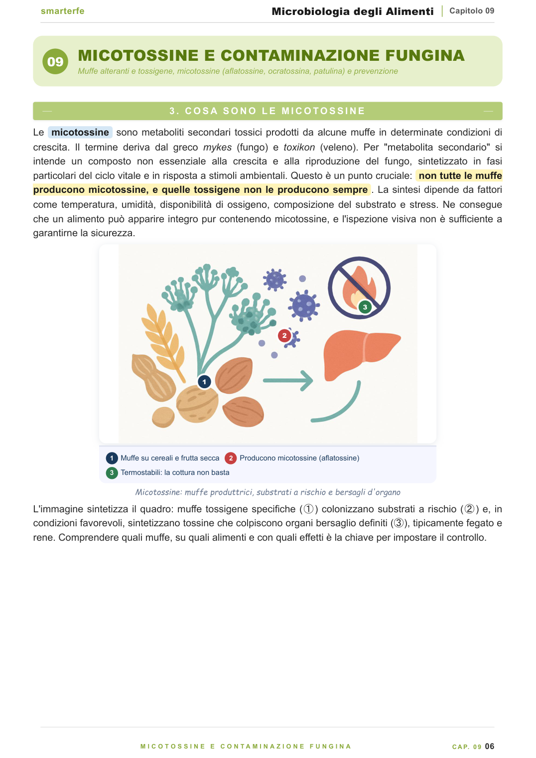 Le fermentazioni alimentari: batteri lattici e bioconservazione