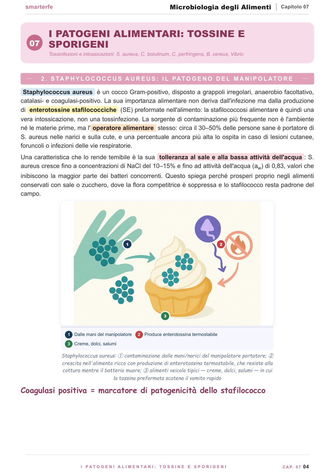 I fattori che governano la crescita: attivit&agrave; dell'acqua, pH, temperatura