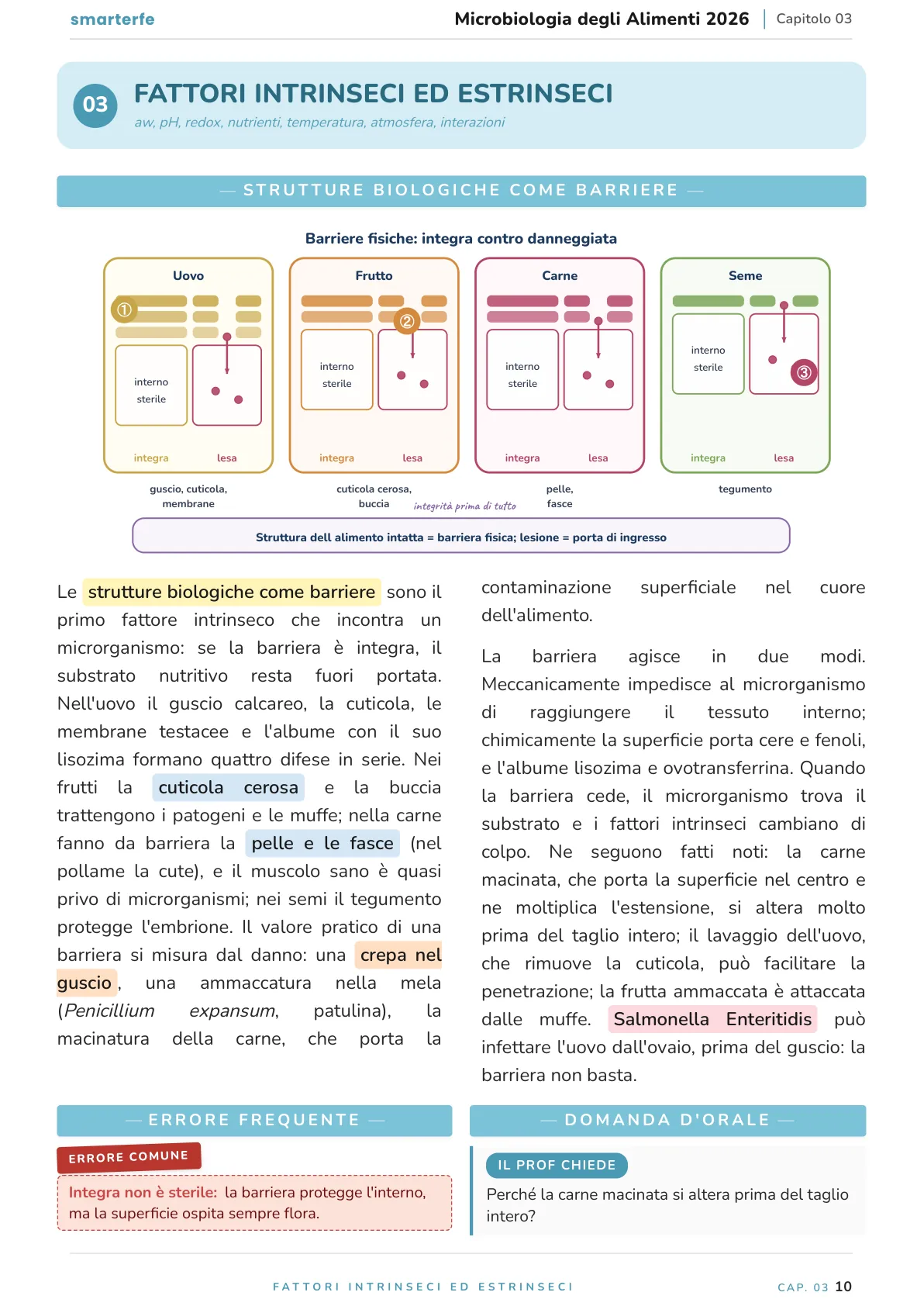 Lo stesso argomento sulle Dispense SmarterFe: schema, passaggi numerati, colori