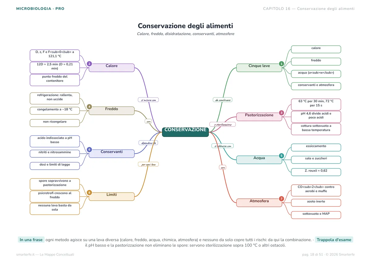 Mappe Concettuali