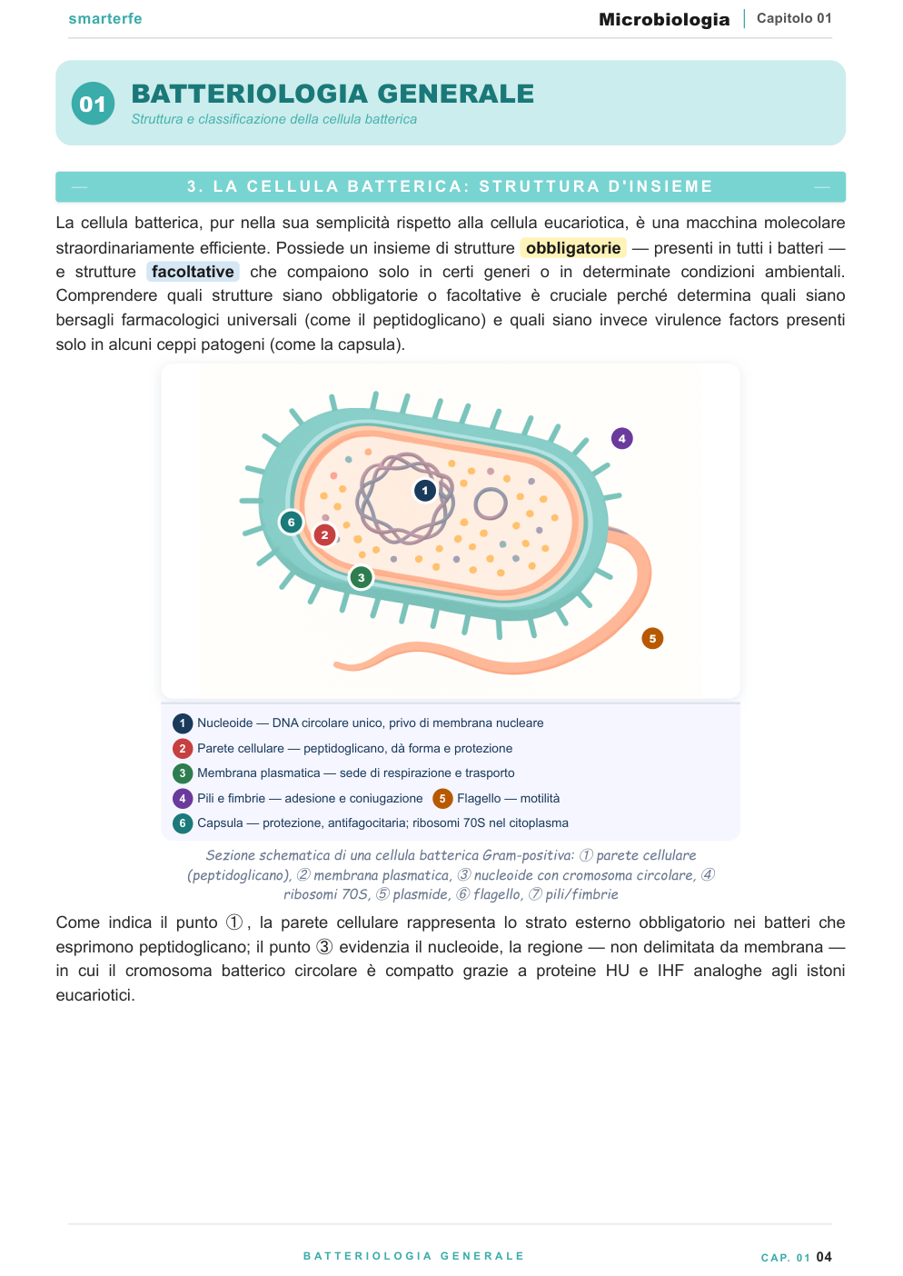Copertina dispensa Microbiologia