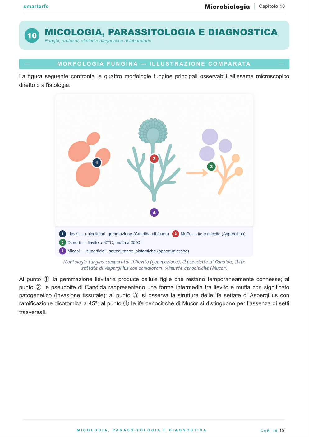 Antibiotici — meccanismi e resistenze