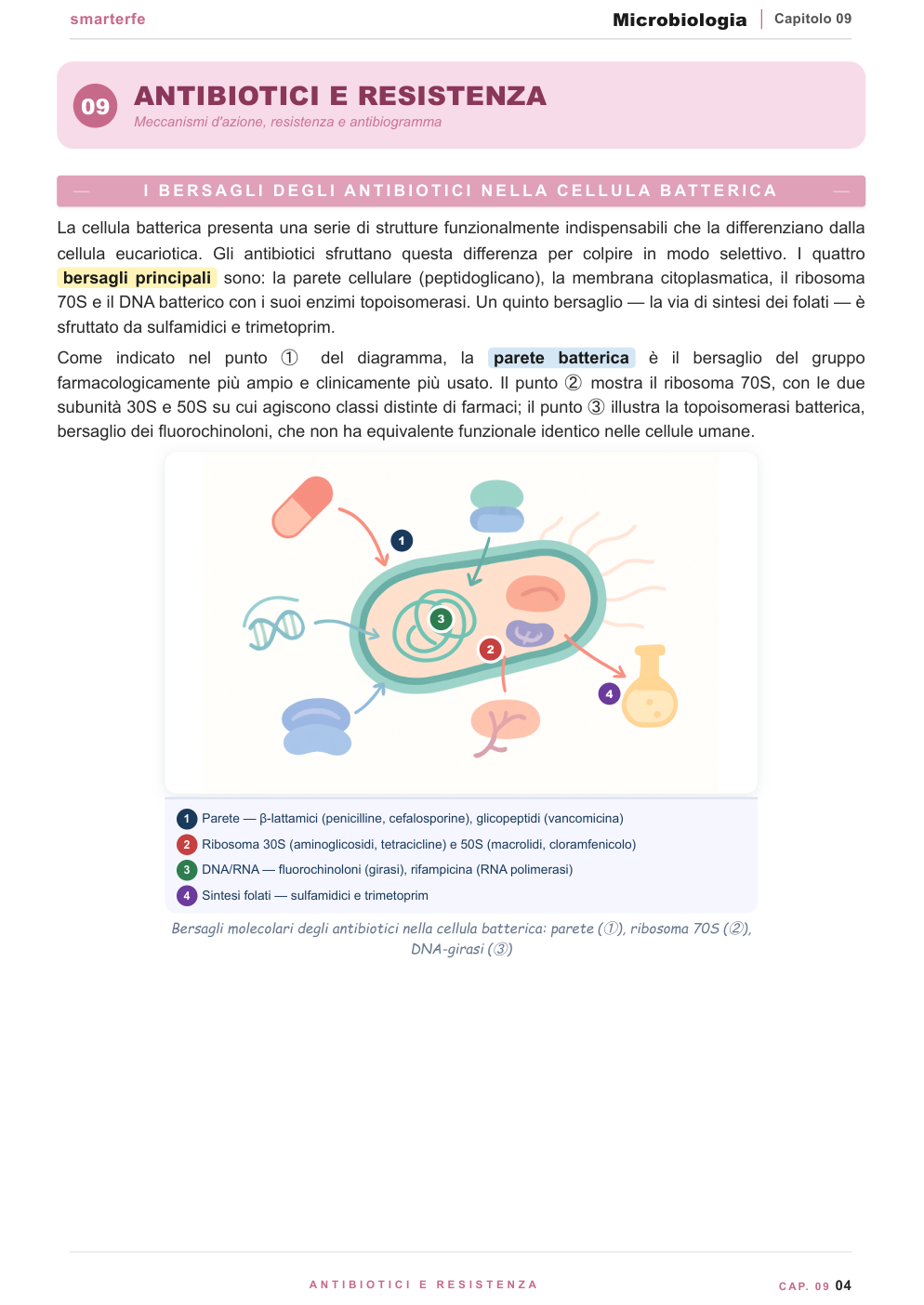 Virologia — HIV, Influenza, SARS-CoV-2