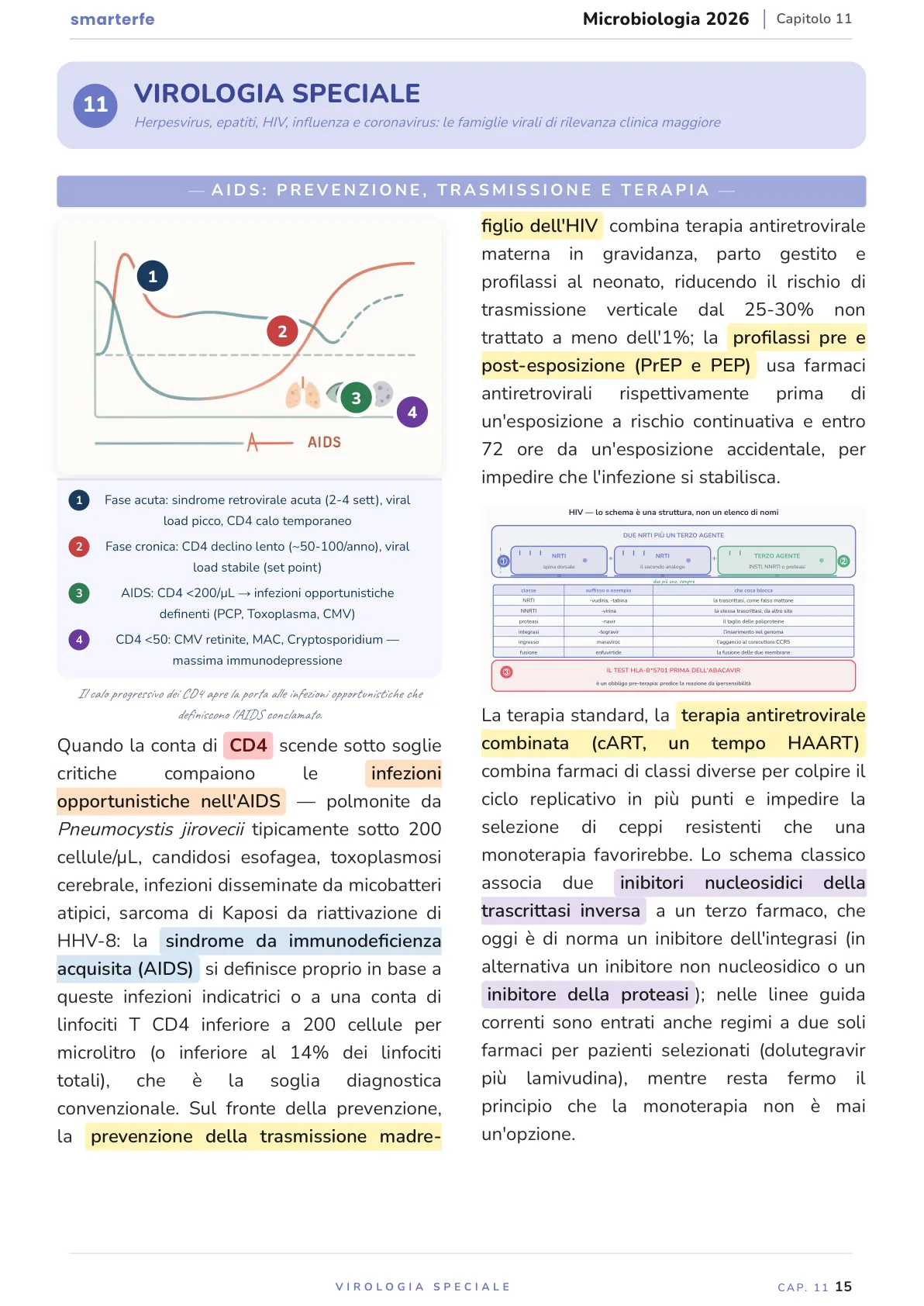 Lo stesso argomento sulle Dispense SmarterFe: schema, passaggi numerati, colori