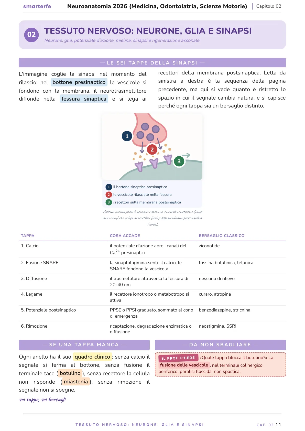 Lo stesso argomento sulle Dispense SmarterFe: schema, passaggi numerati, colori