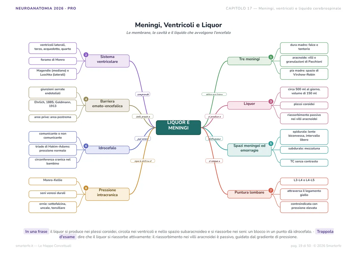 Mappe Concettuali