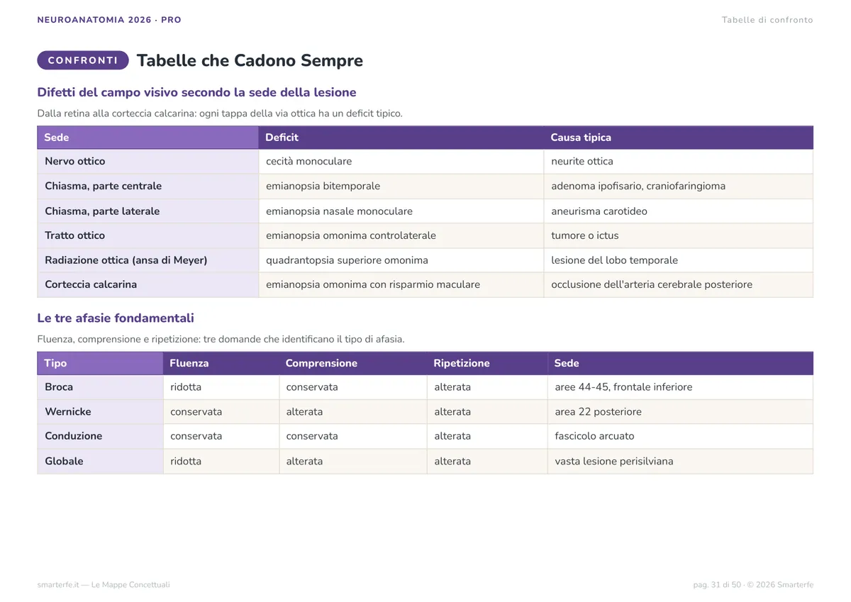 Mappe Concettuali