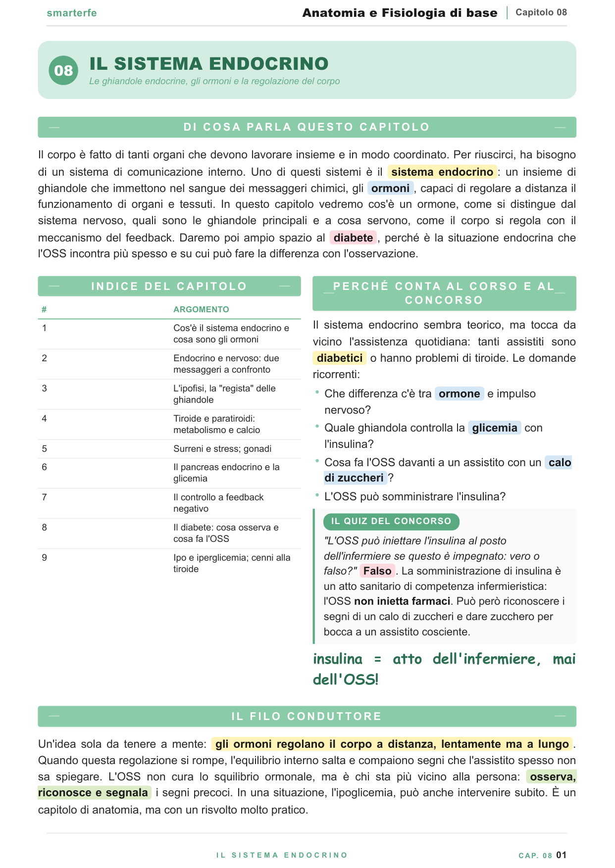 L'apparato digerente e la nutrizione: dalla bocca all'intestino