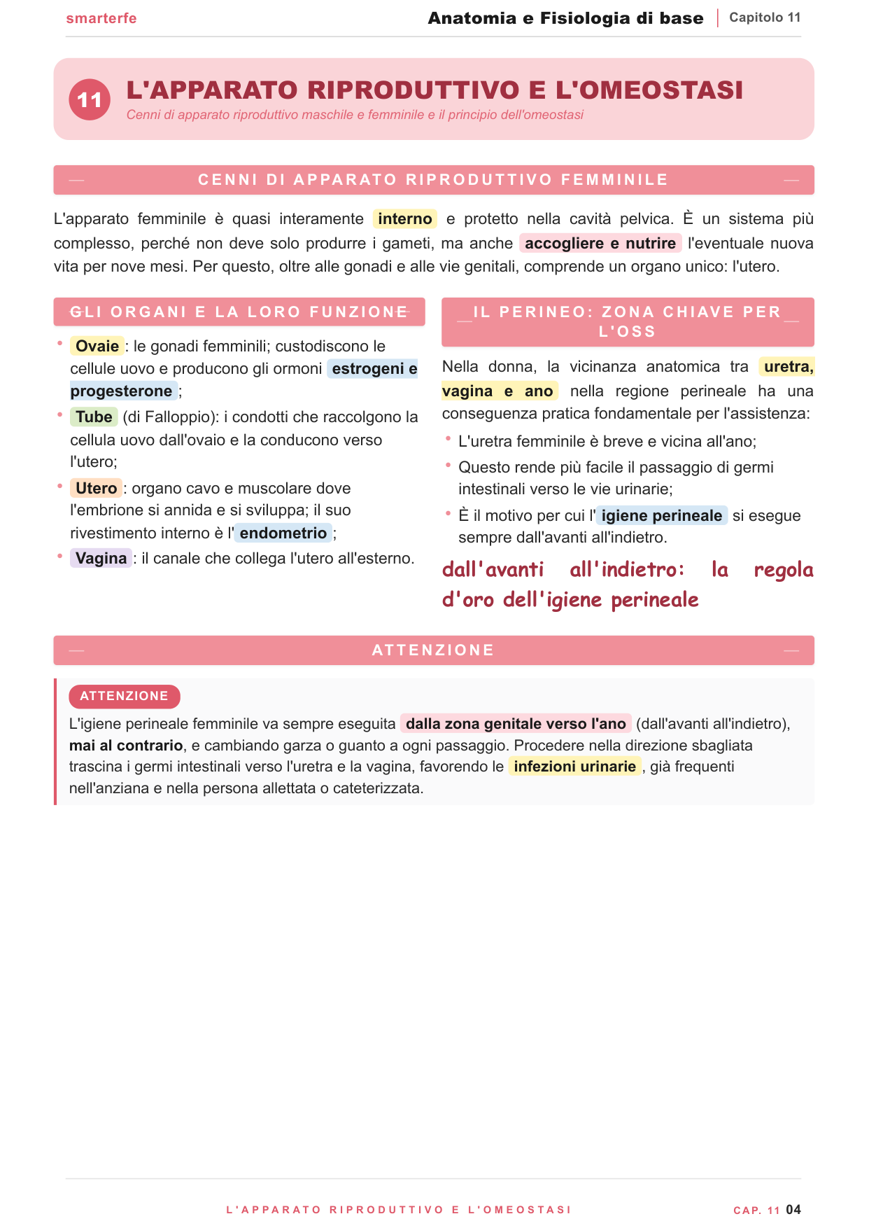 Il sistema immunitario e linfatico: le difese dell'organismo