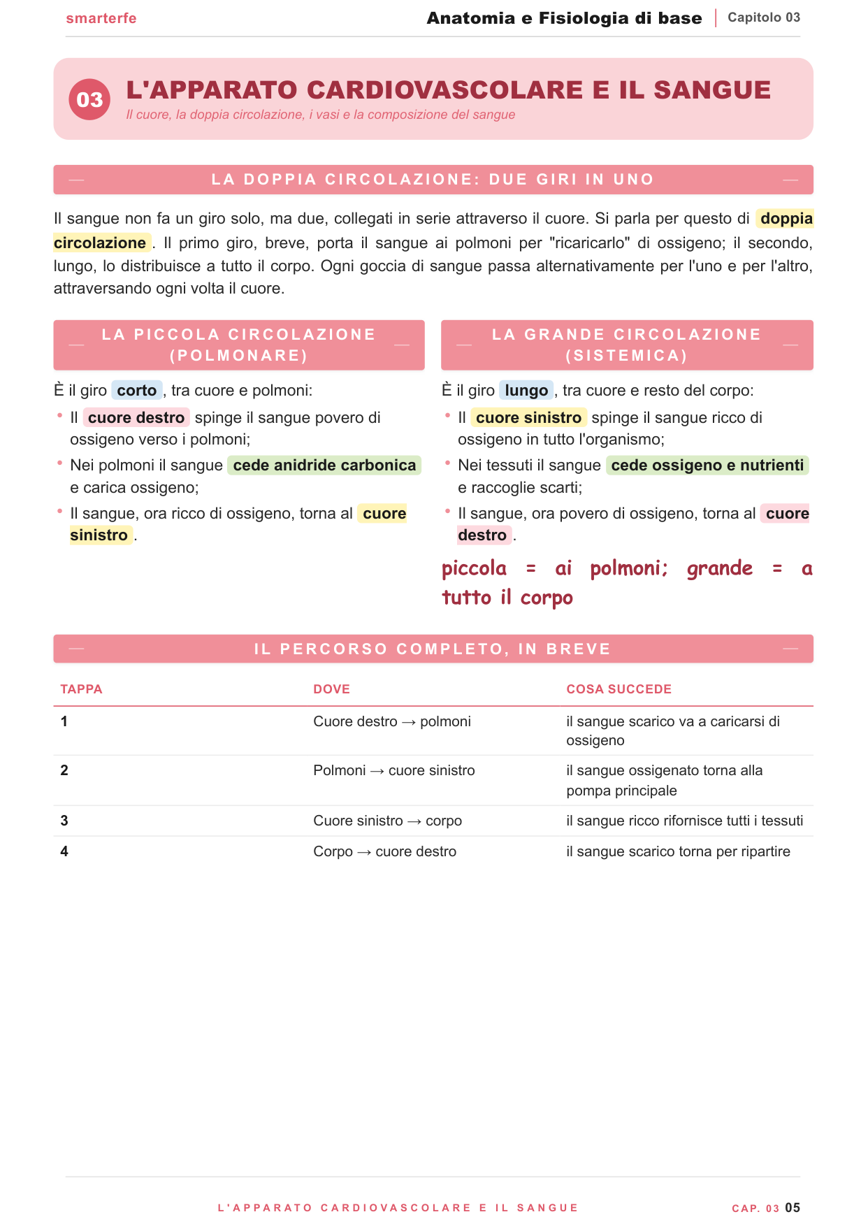L'organizzazione del corpo umano: cellula, tessuti, organi e apparati