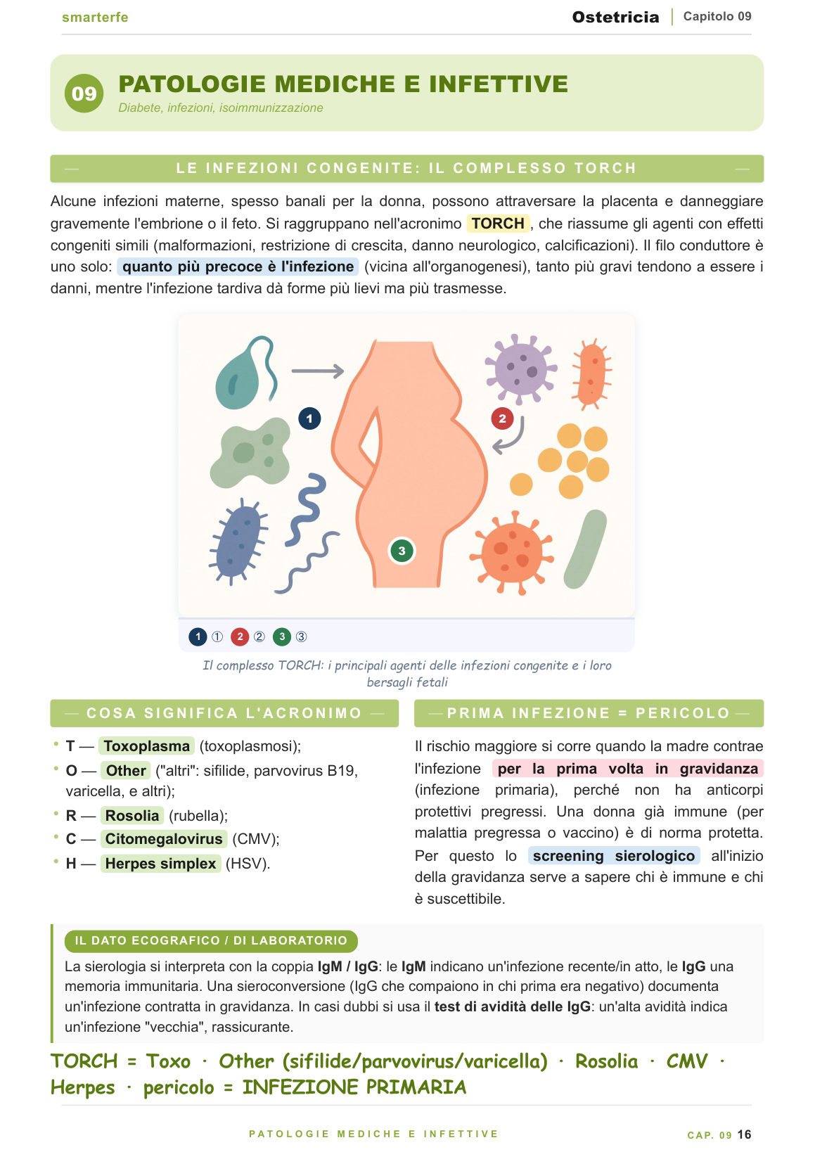 Dispense Ostetricia Smarter — parto, puerperio ed emergenze ostetriche