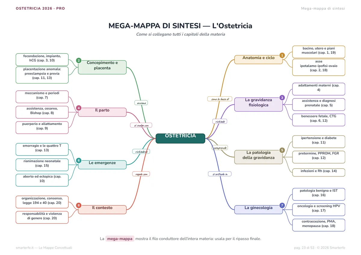Mappe Concettuali