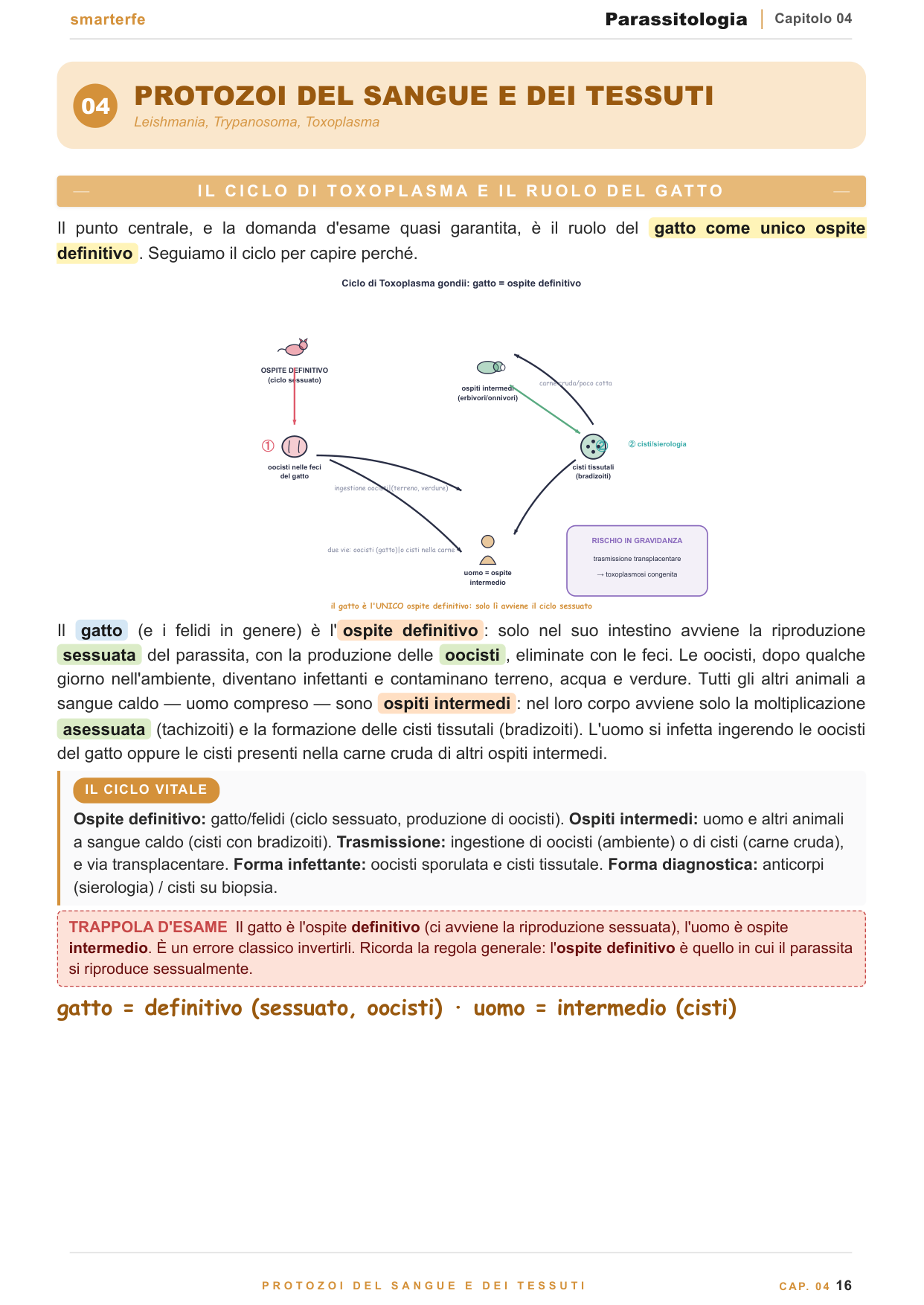 Cicli vitali — ospiti e forme infettanti