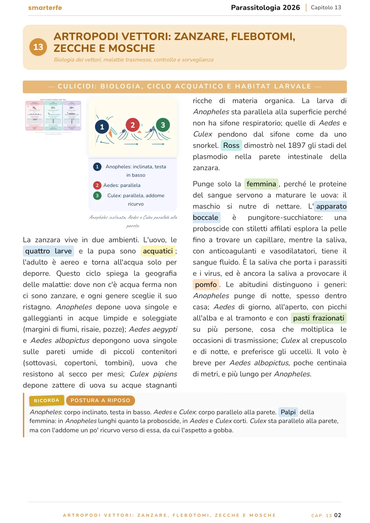 Lo stesso argomento sulle Dispense SmarterFe: schema, passaggi numerati, colori