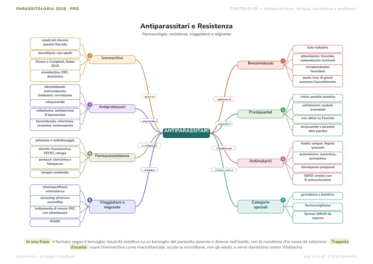 Mappe Concettuali