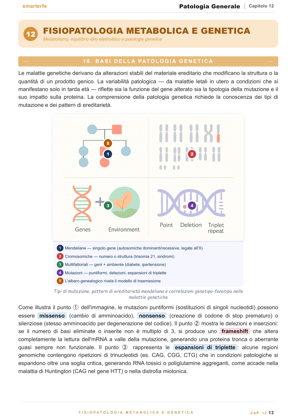 Carcinogenesi — oncogeni, p53, EMT e metastasi