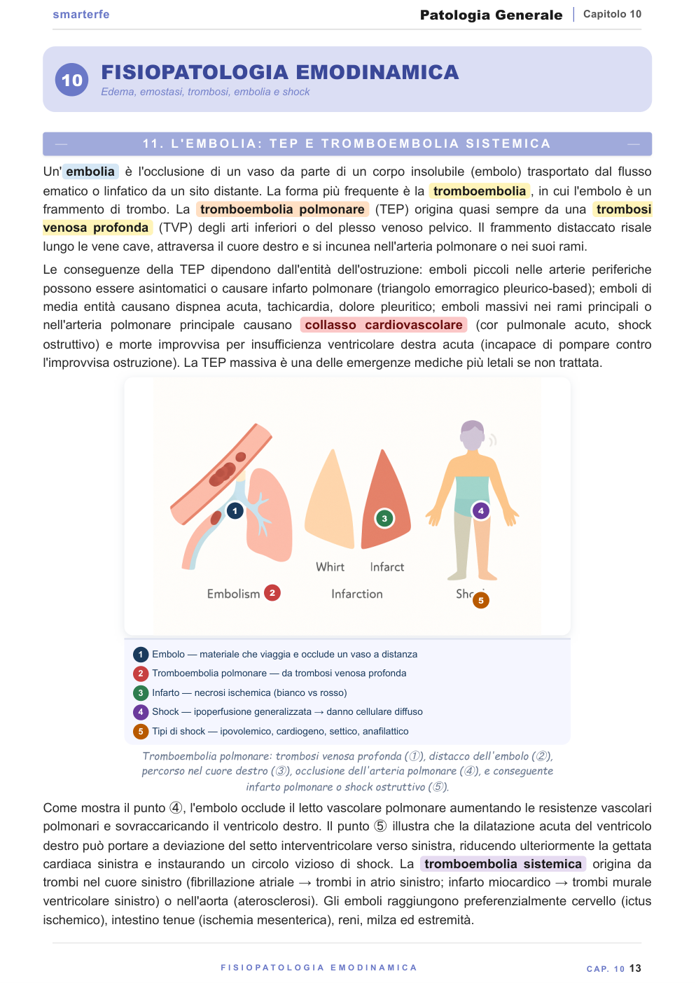 Granuloma TBC e infiammazione cronica