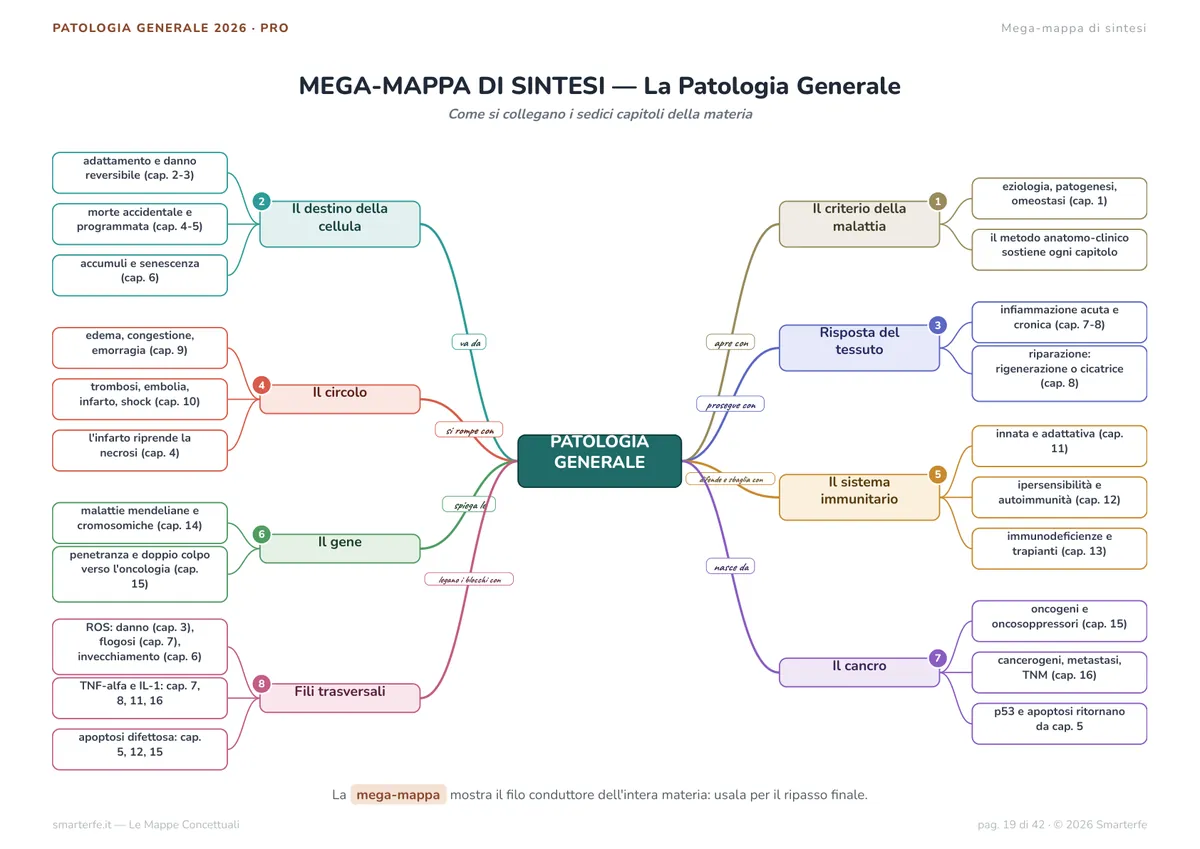 Mappe Concettuali
