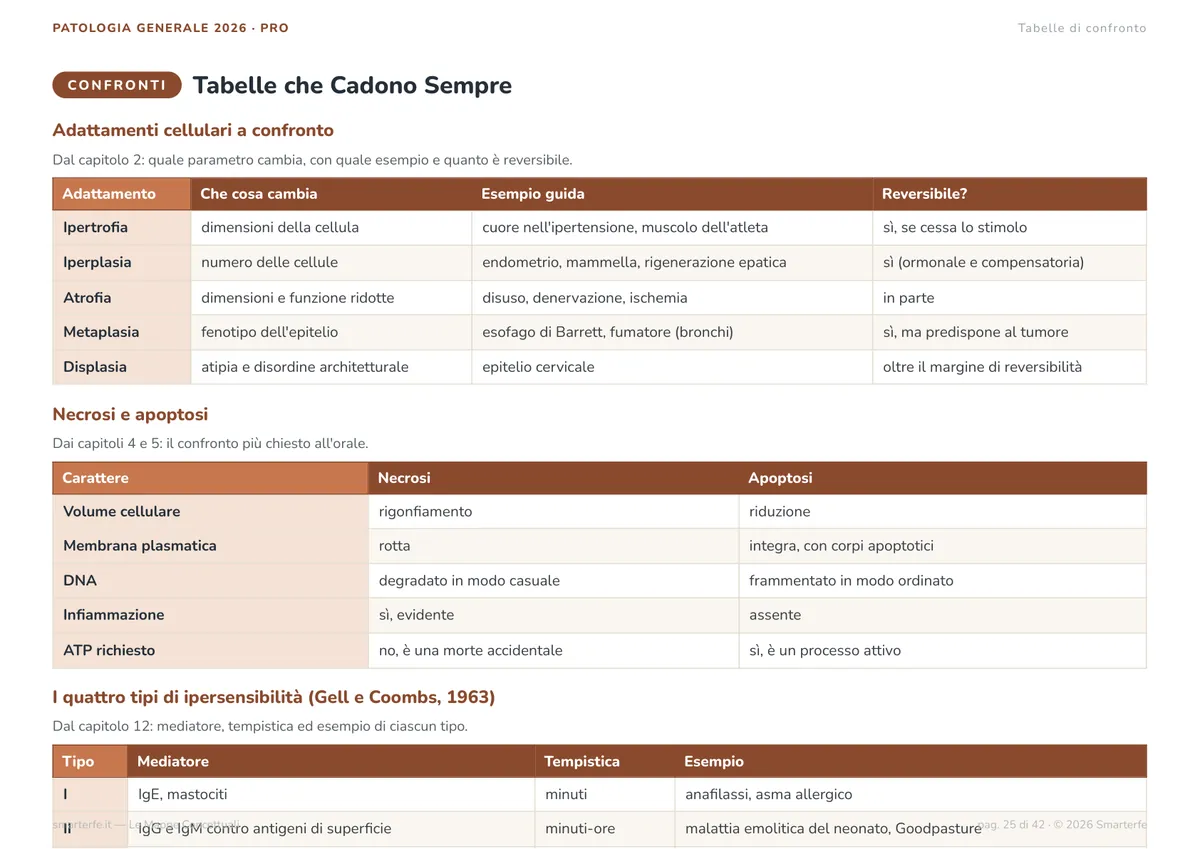 Mappe Concettuali