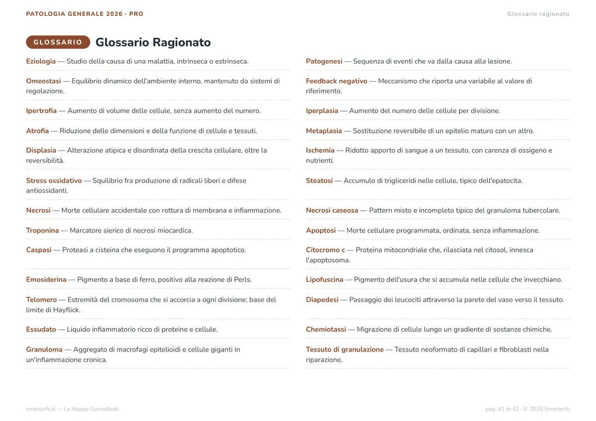 Mappe Concettuali