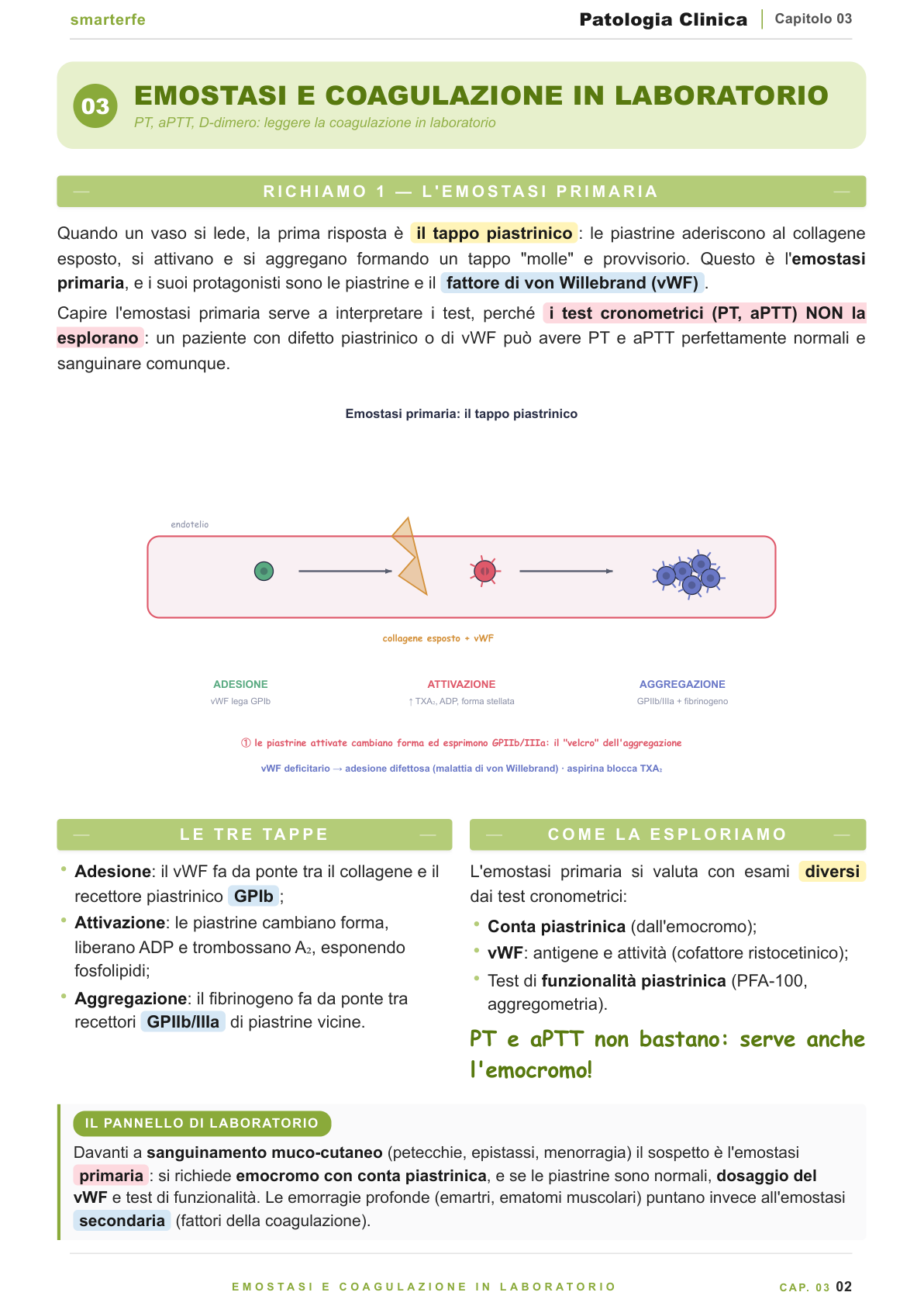 Equilibrio acido-base ed emogasanalisi: pH, gap anionico e compensi