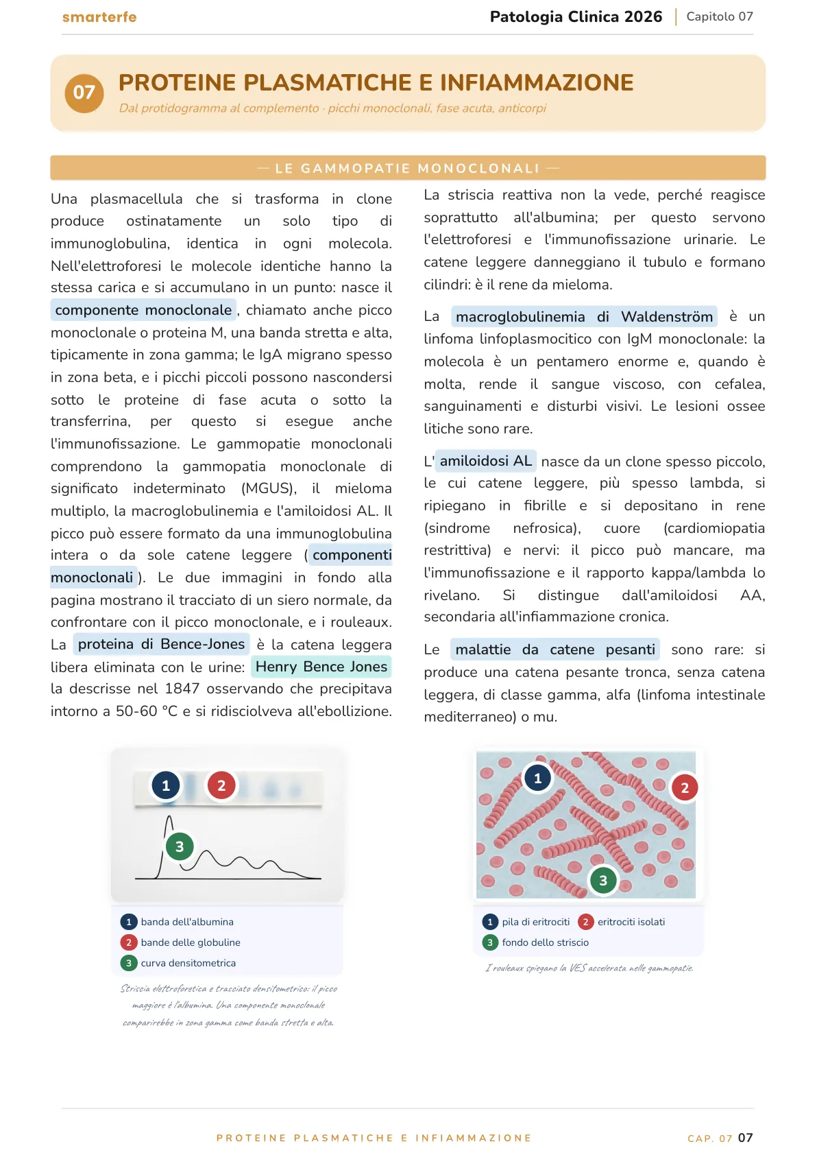 Lo stesso argomento sulle Dispense SmarterFe: schema, passaggi numerati, colori