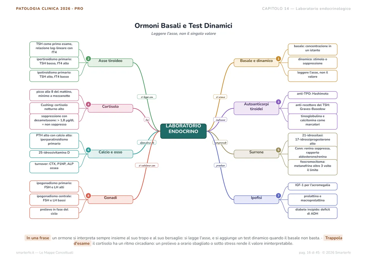 Mappe Concettuali