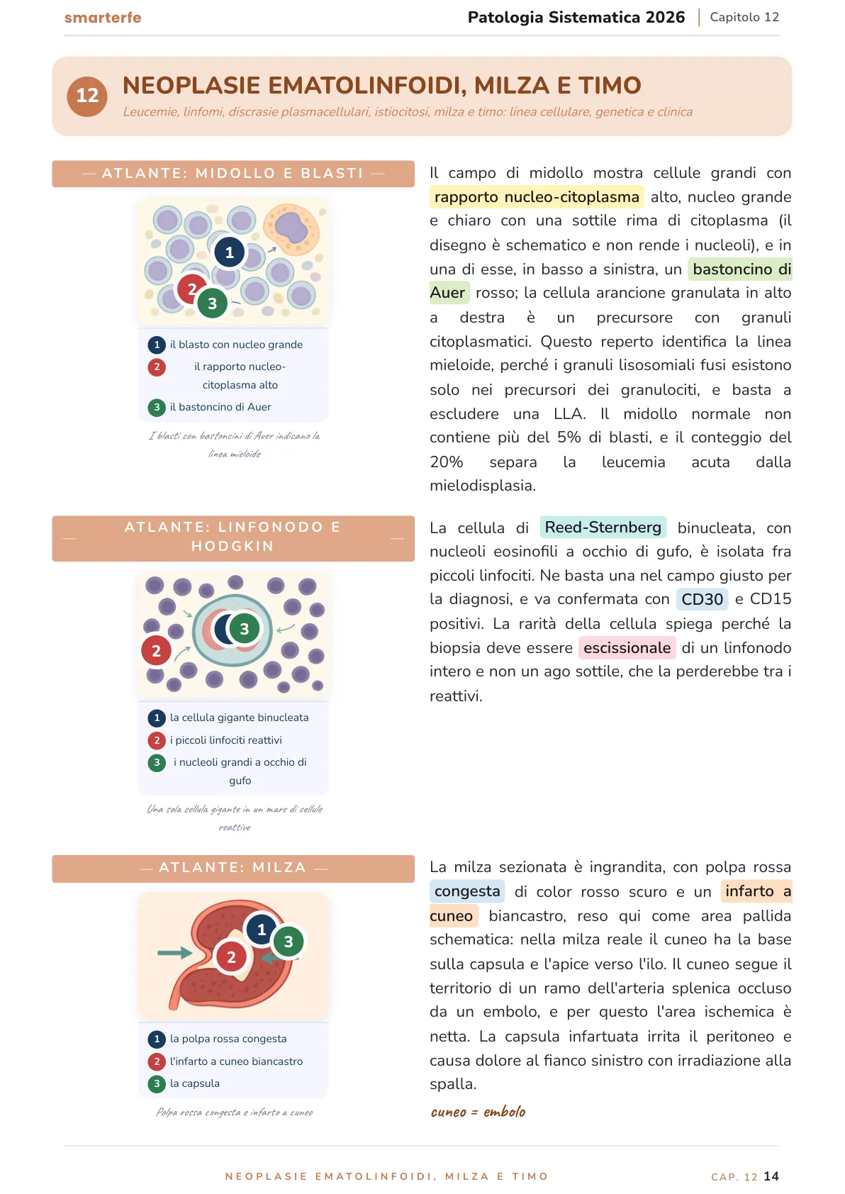 Lo stesso argomento sulle Dispense SmarterFe: schema, passaggi numerati, colori